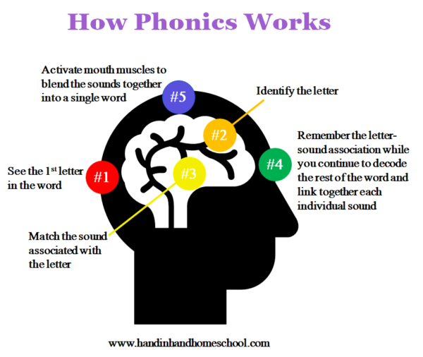 phonics