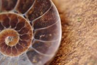 pix-spiral2